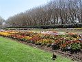 DArboretum-2011 (28)